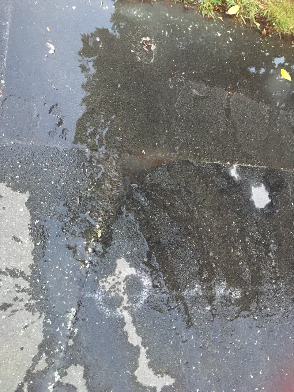 The photograph attached to this water leak report