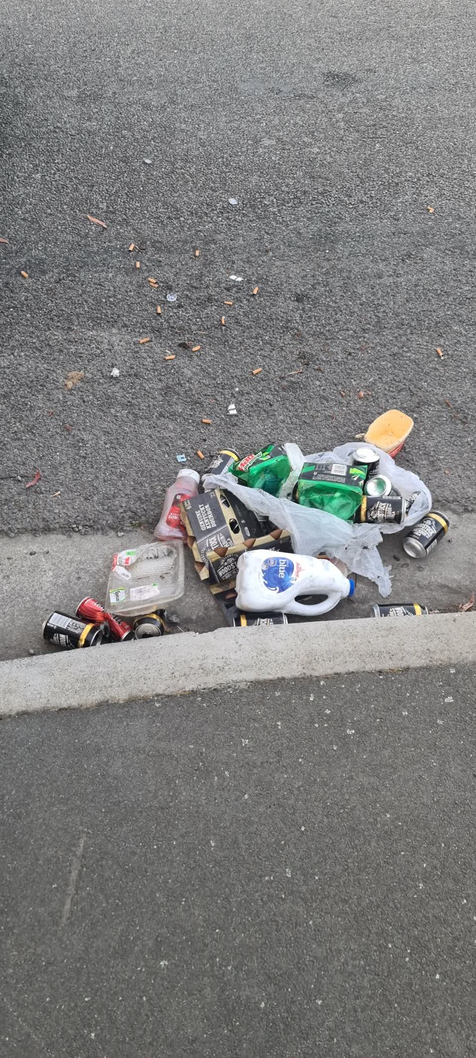 The photograph attached to this rubbish/recycling report