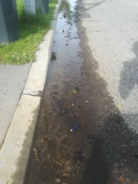 General Request, a report photo