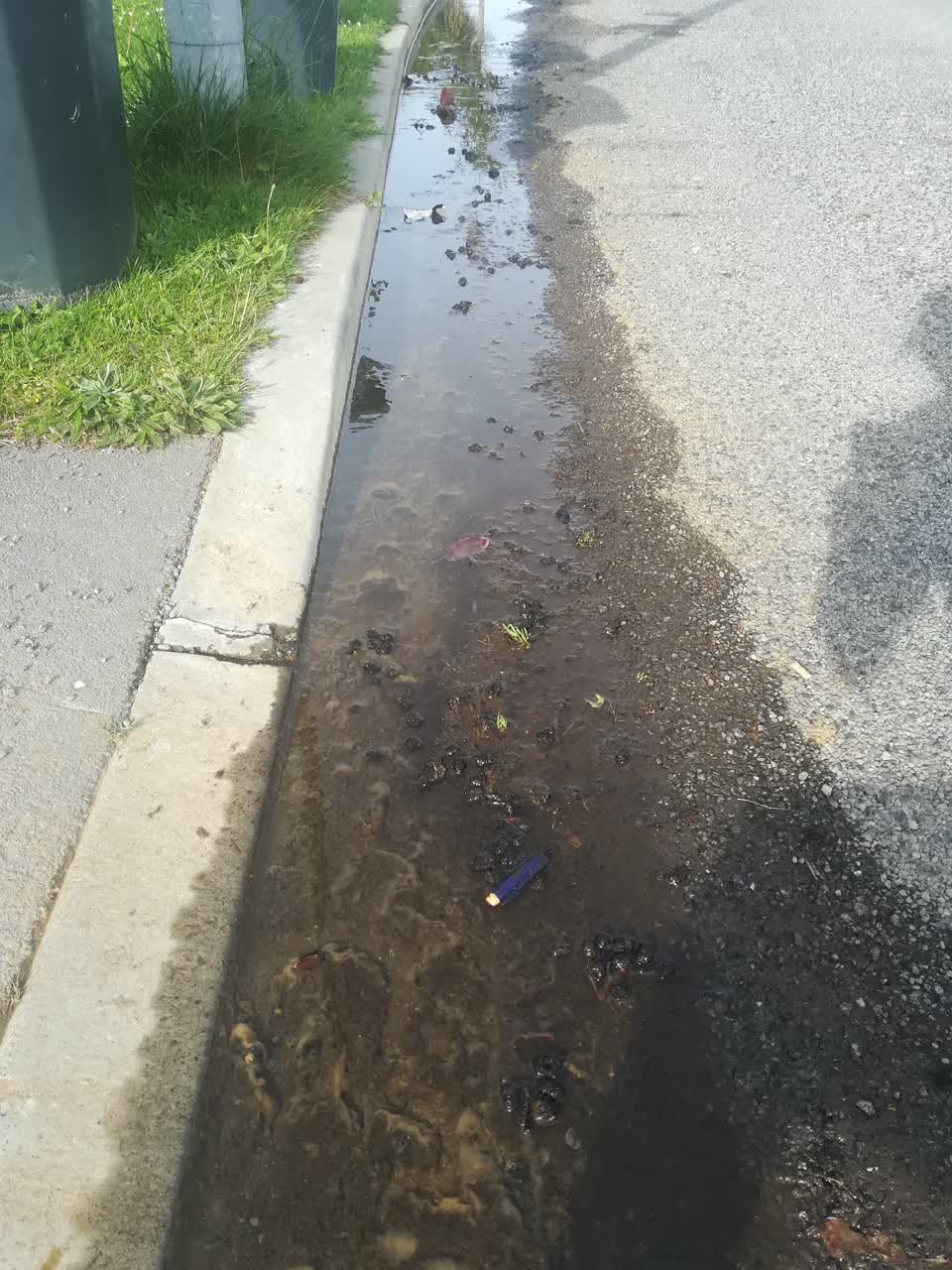 The photograph attached to this general request report