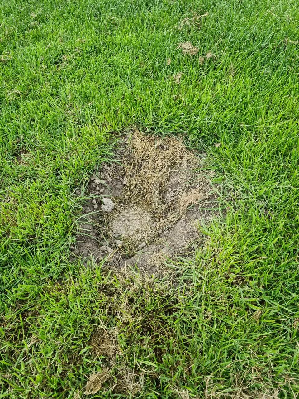 The photograph attached to this parks report