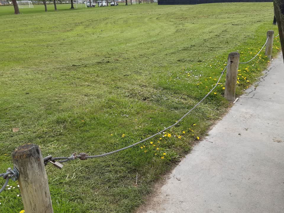 The photograph attached to this parks report