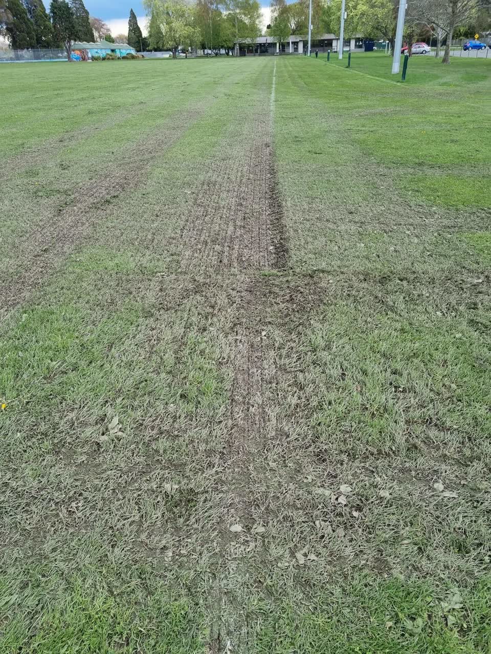 The photograph attached to this parks report