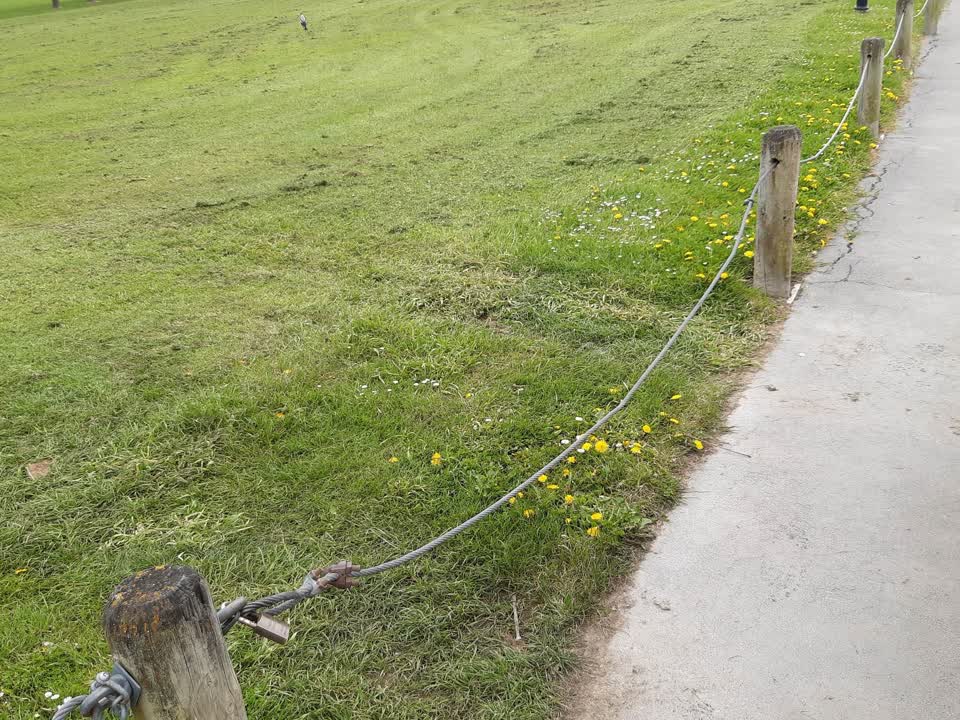 The photograph attached to this parks report