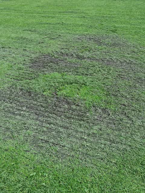 Parks, a report photo