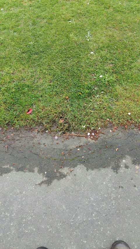 Water Leak, a report photo
