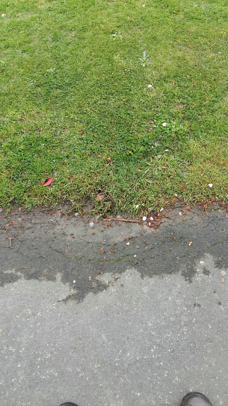 The photograph attached to this water leak report