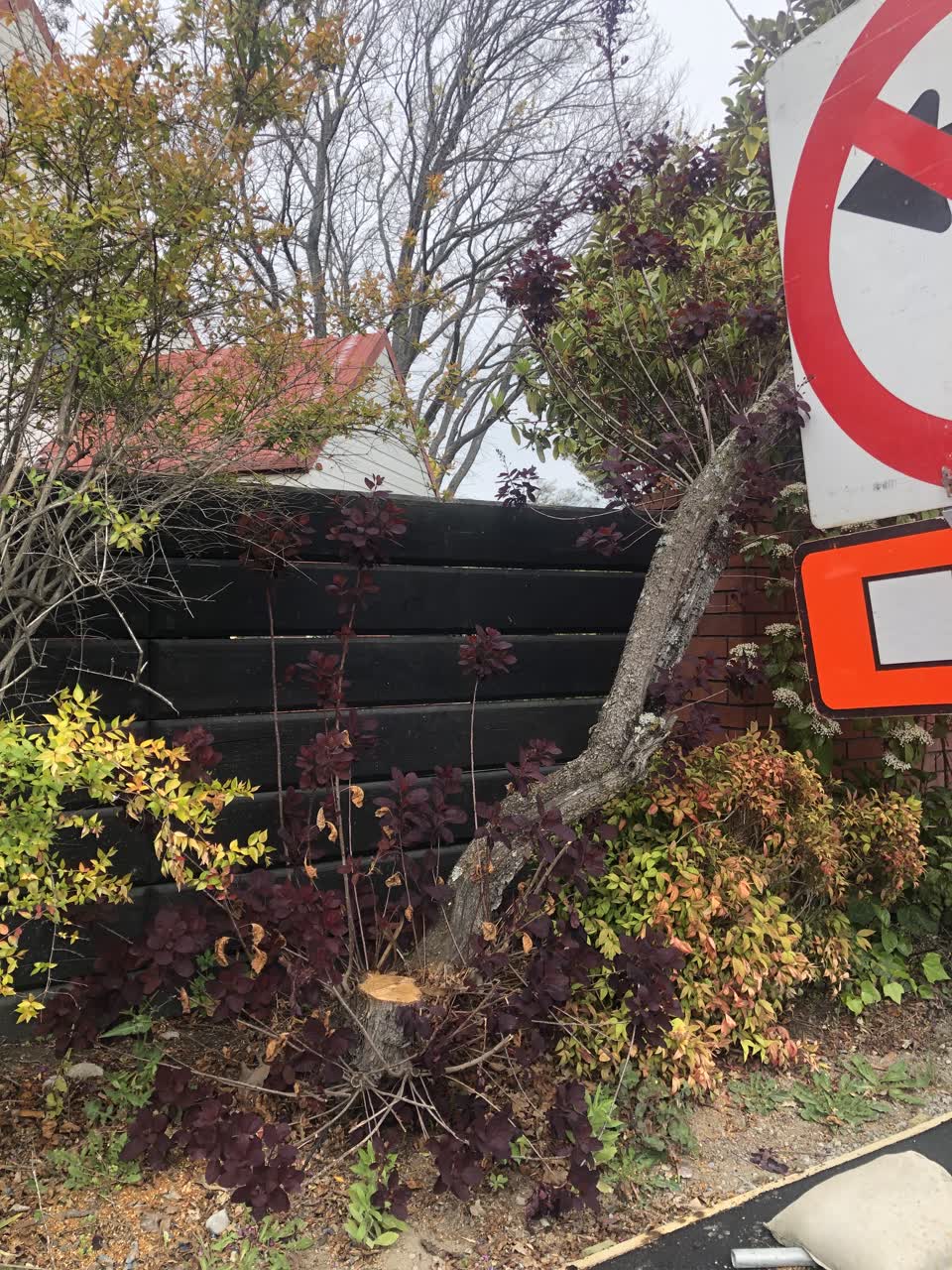 The photograph attached to this roading/streets report