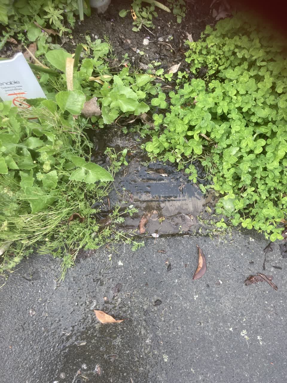 The photograph attached to this water leak report