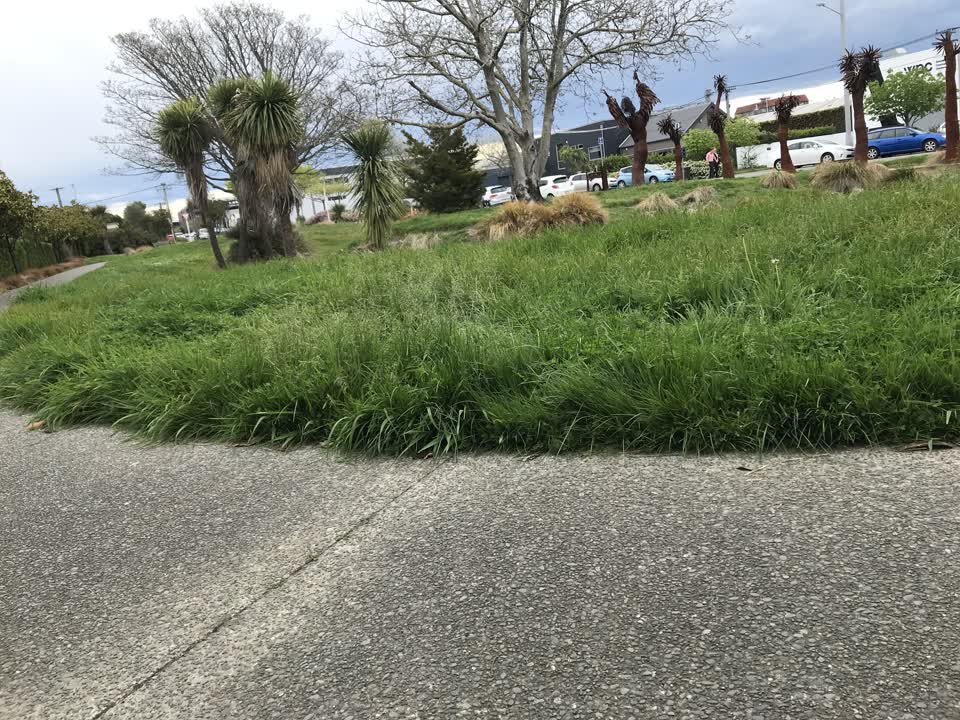 The photograph attached to this parks report
