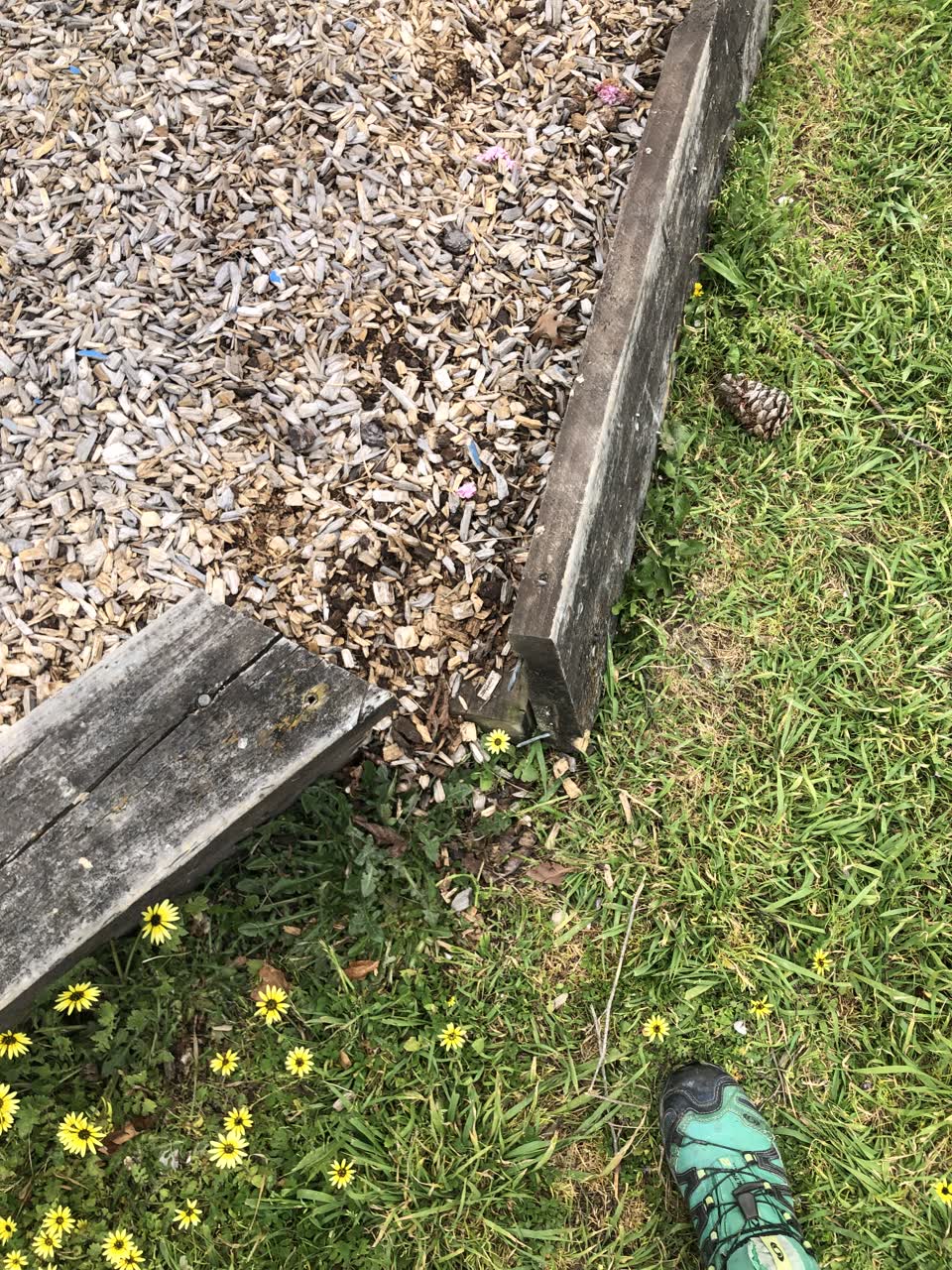 The photograph attached to this parks report