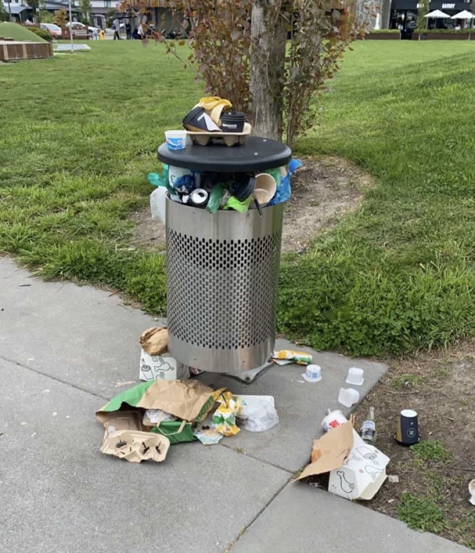 The photograph attached to this rubbish/recycling report