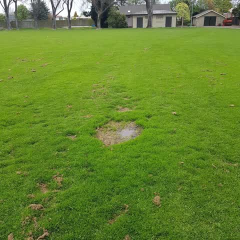 Parks, a report photo