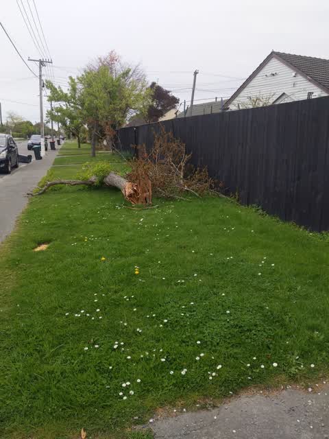 Roading/Streets, a report photo