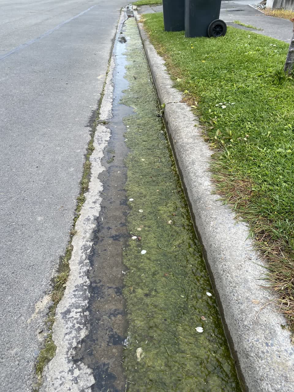 The photograph attached to this wastewater/stormwater report