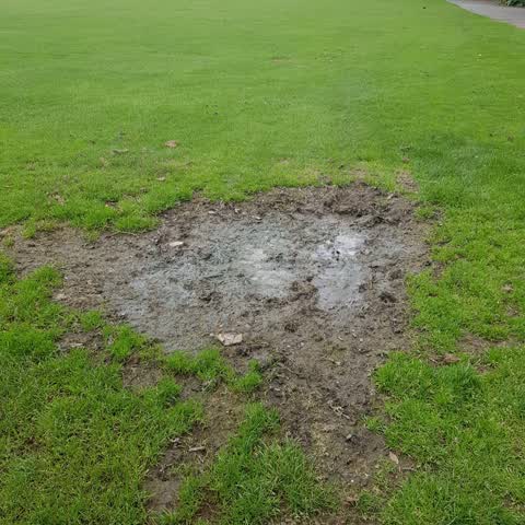 Parks, a report photo