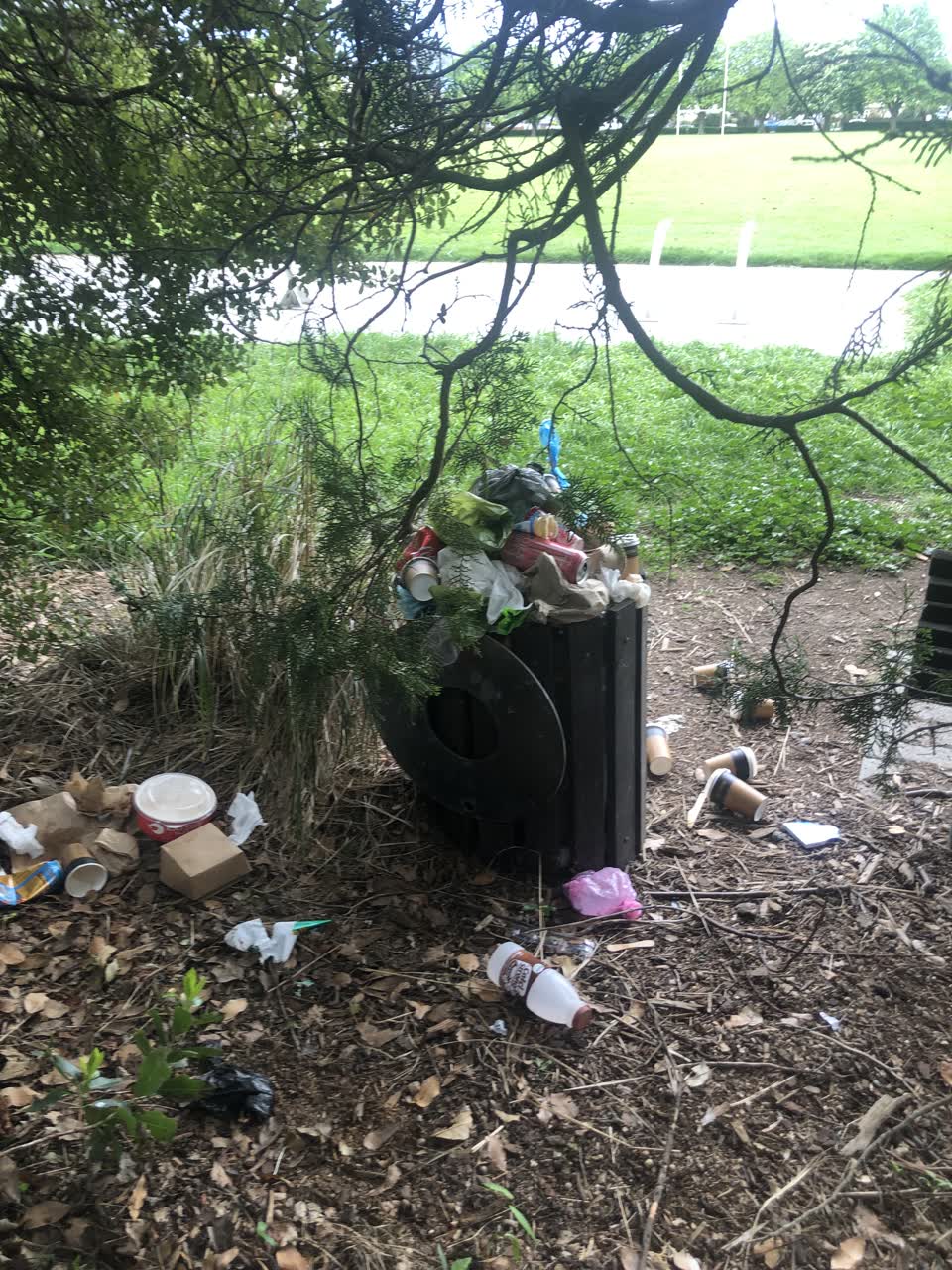 The photograph attached to this parks report