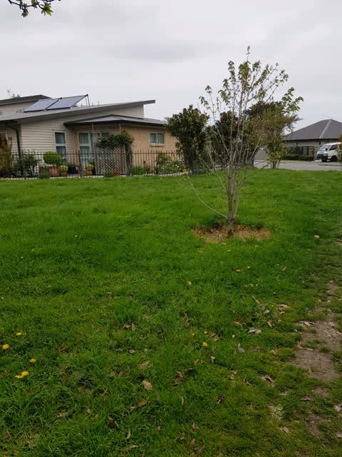 Parks, a report photo