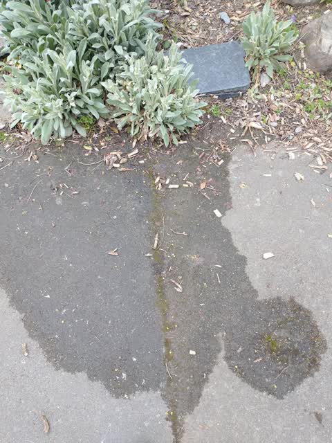 Water Leak, a report photo
