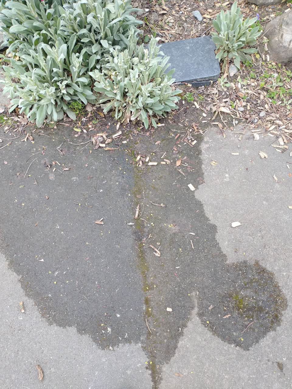 The photograph attached to this water leak report