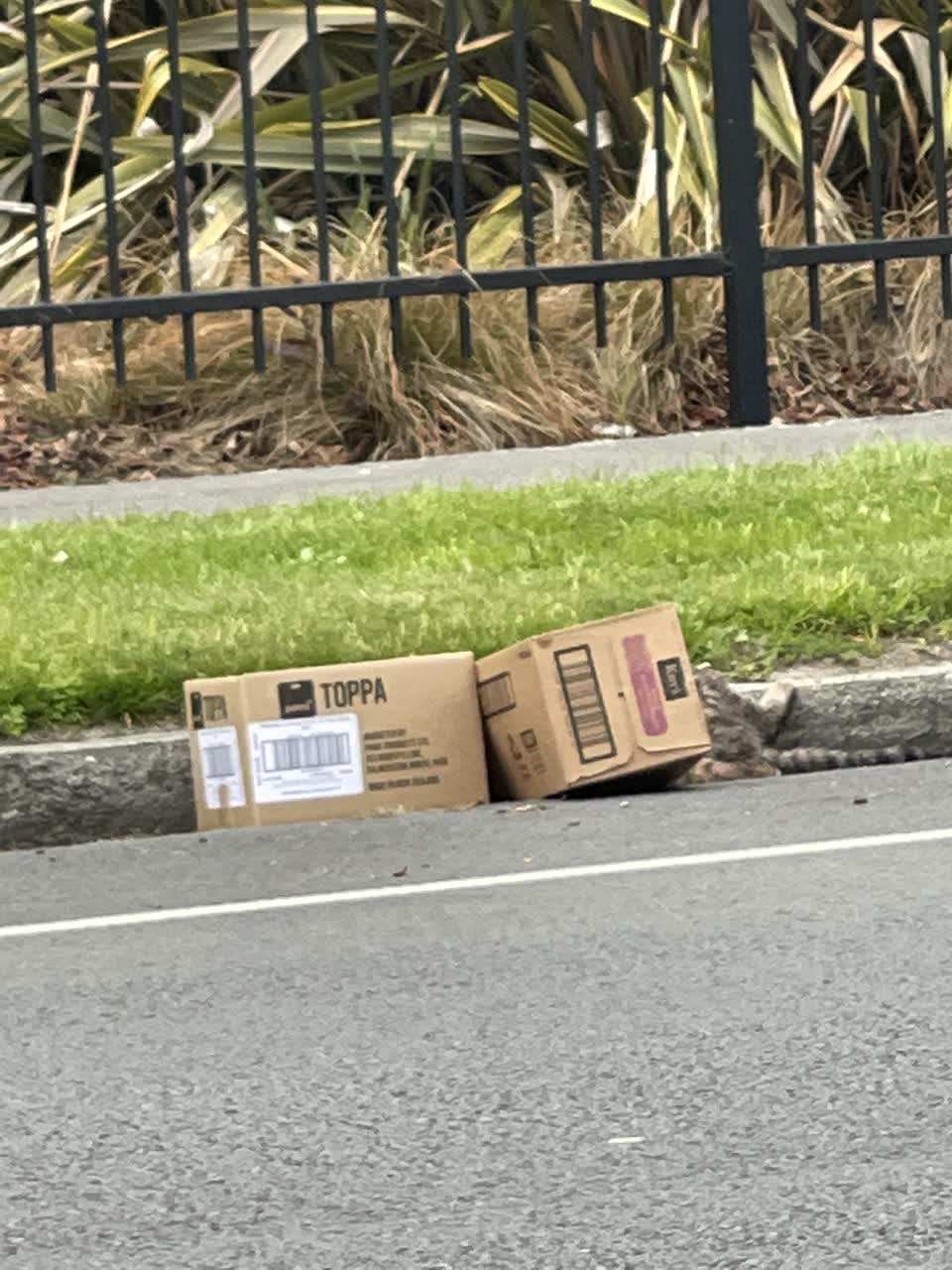 The photograph attached to this rubbish/recycling report