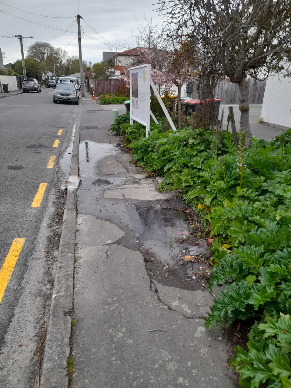 The photograph attached to this water leak report