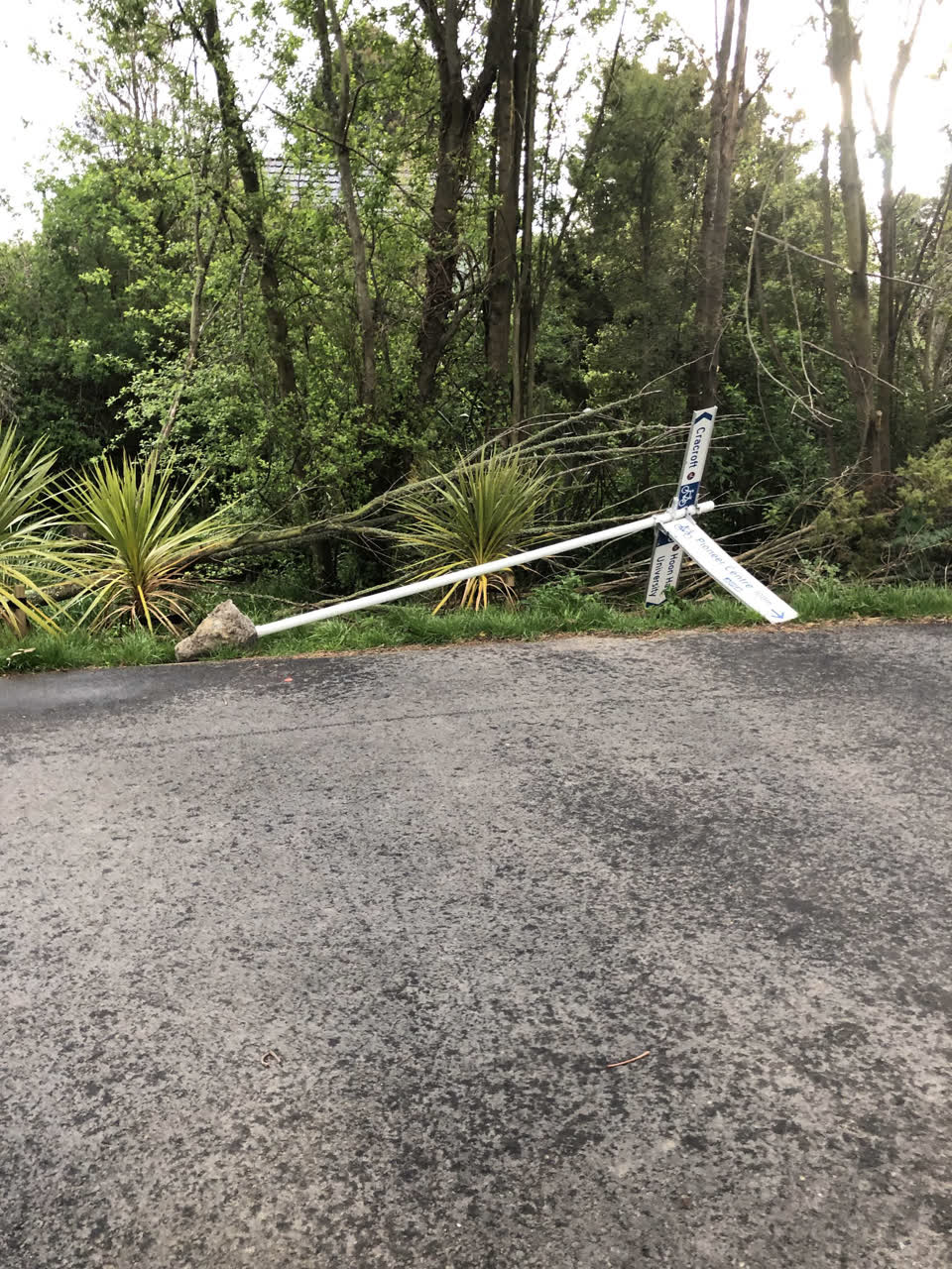 The photograph attached to this parks report