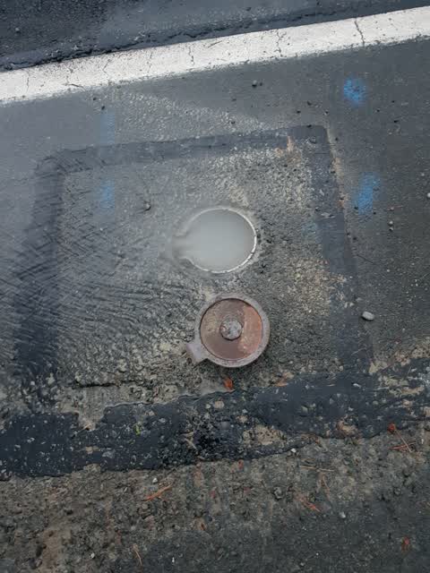 Water Leak, a report photo