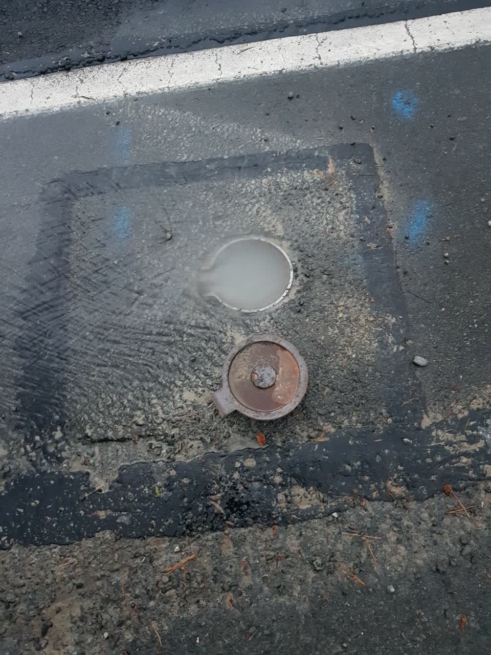 The photograph attached to this water leak report