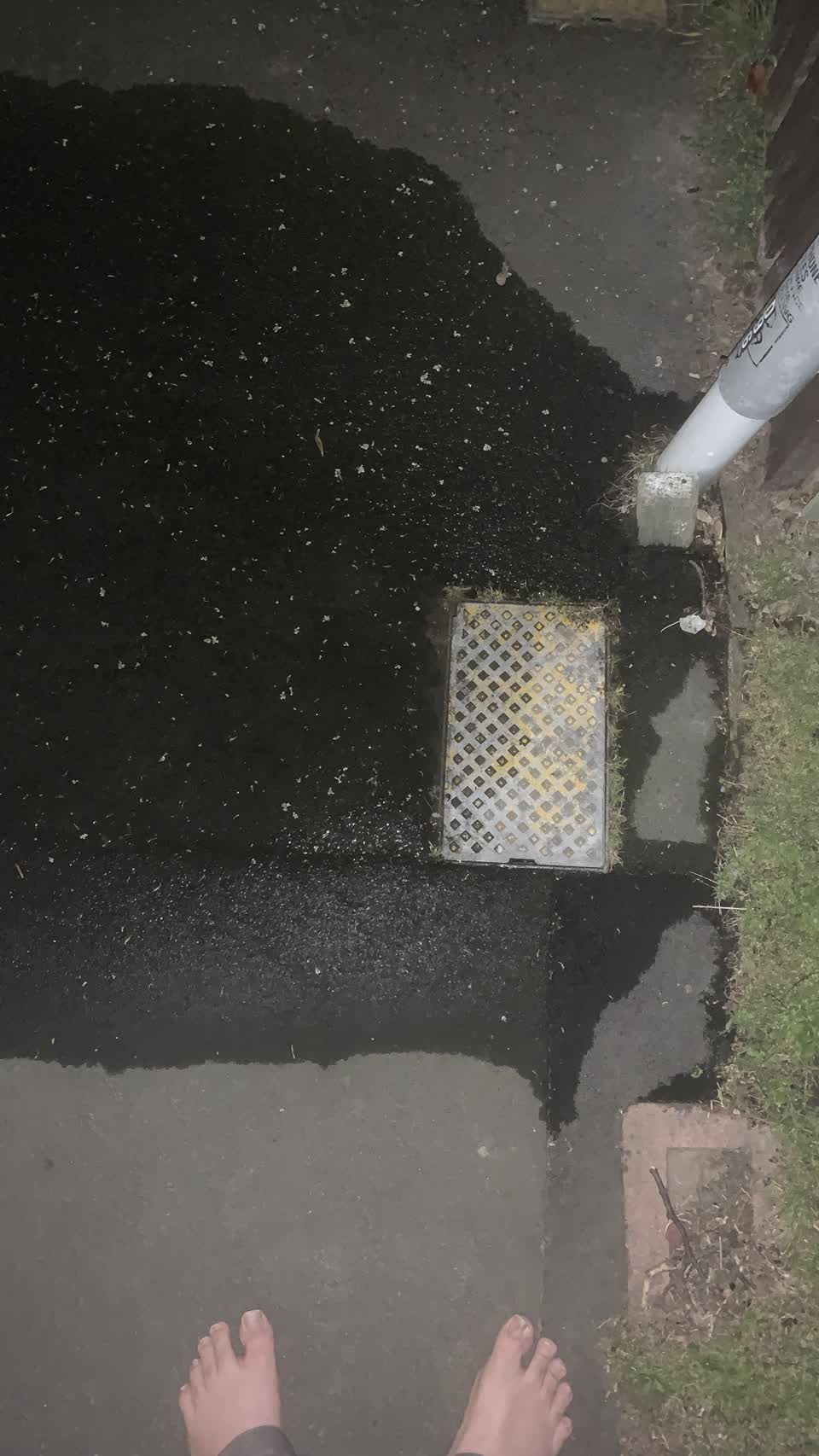 The photograph attached to this water leak report