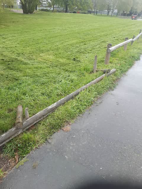 Parks, a report photo