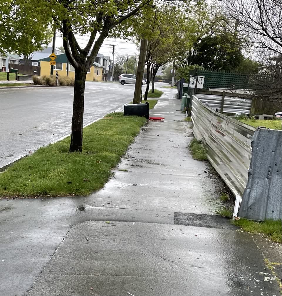 The photograph attached to this roading/streets report