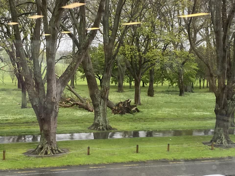The photograph attached to this parks report