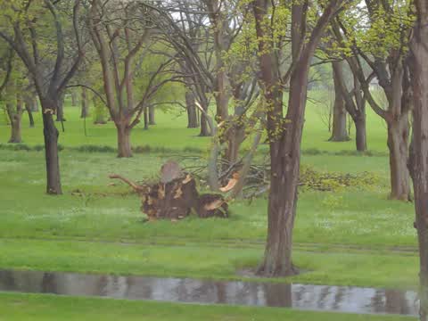 Parks, a report photo