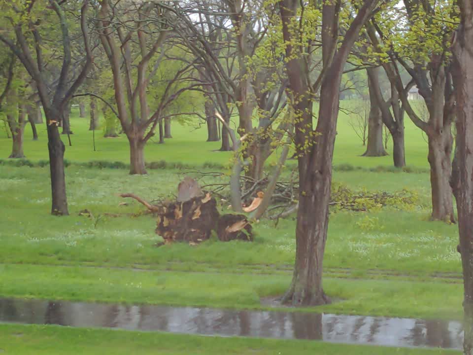 The photograph attached to this parks report