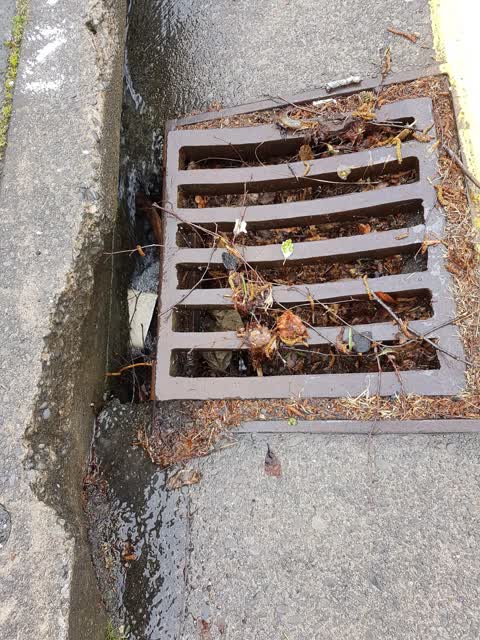 Wastewater/Stormwater, a report photo