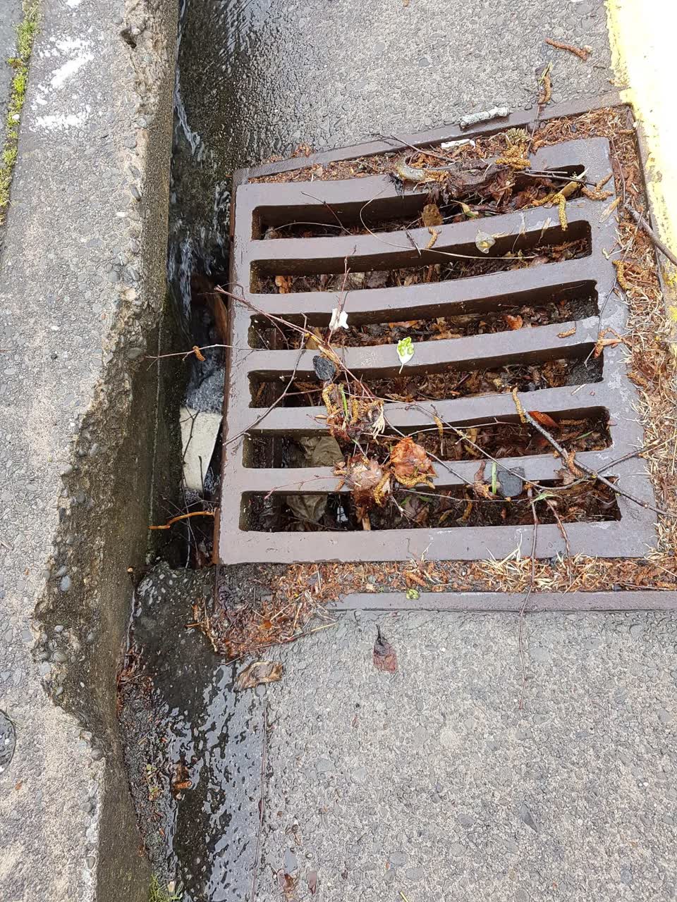 The photograph attached to this wastewater/stormwater report