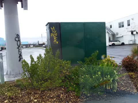 Graffiti, a report photo