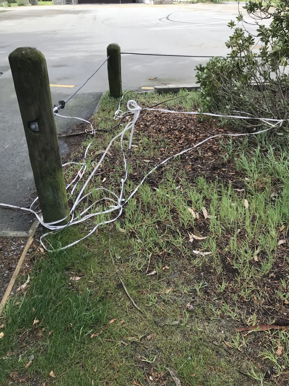 The photograph attached to this parks report