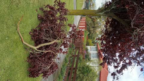 Roading/Streets, a report photo