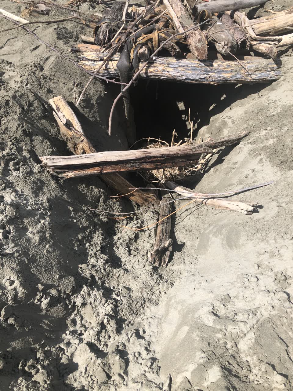 The photograph attached to this parks report