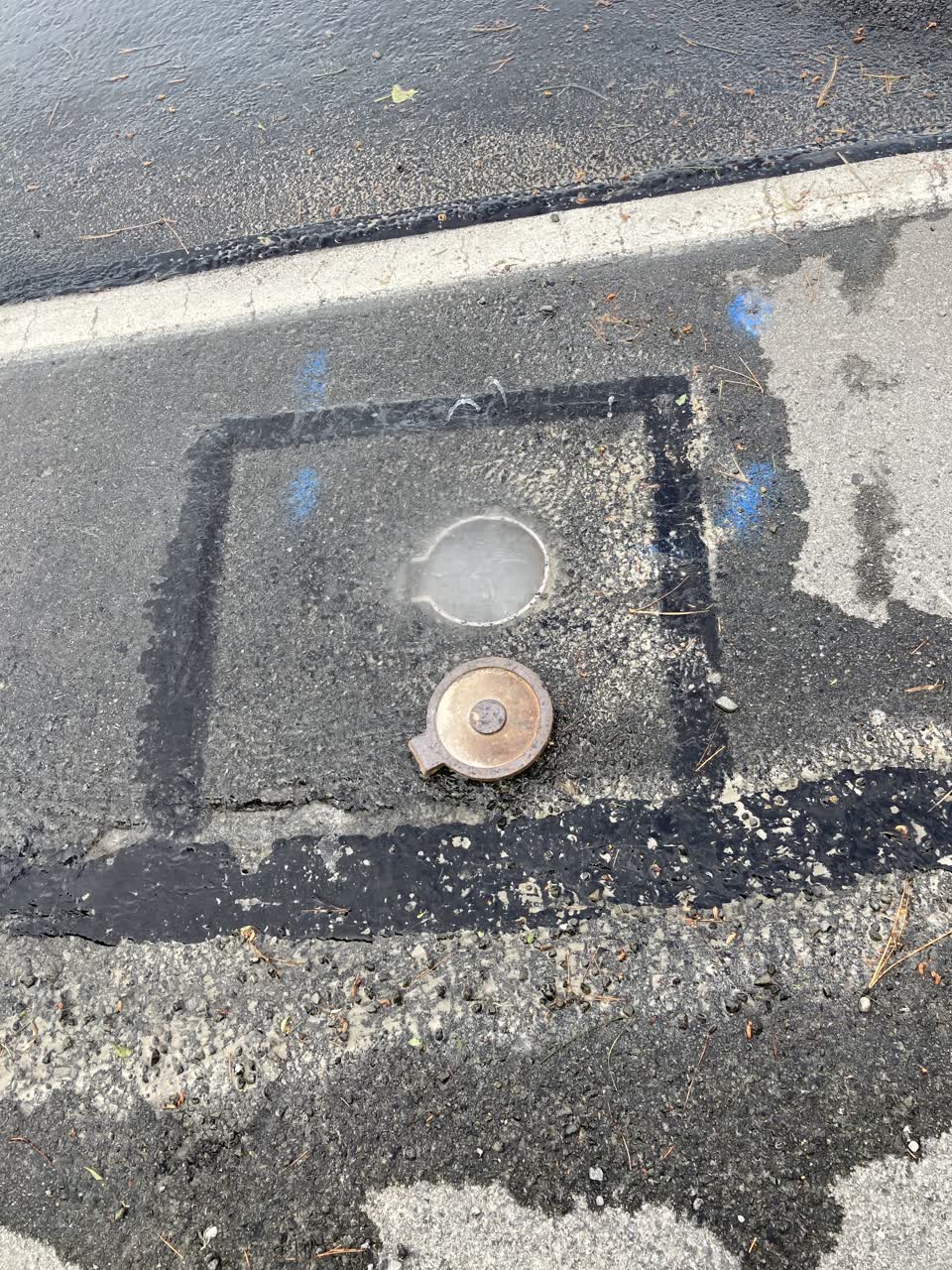 The photograph attached to this water leak report