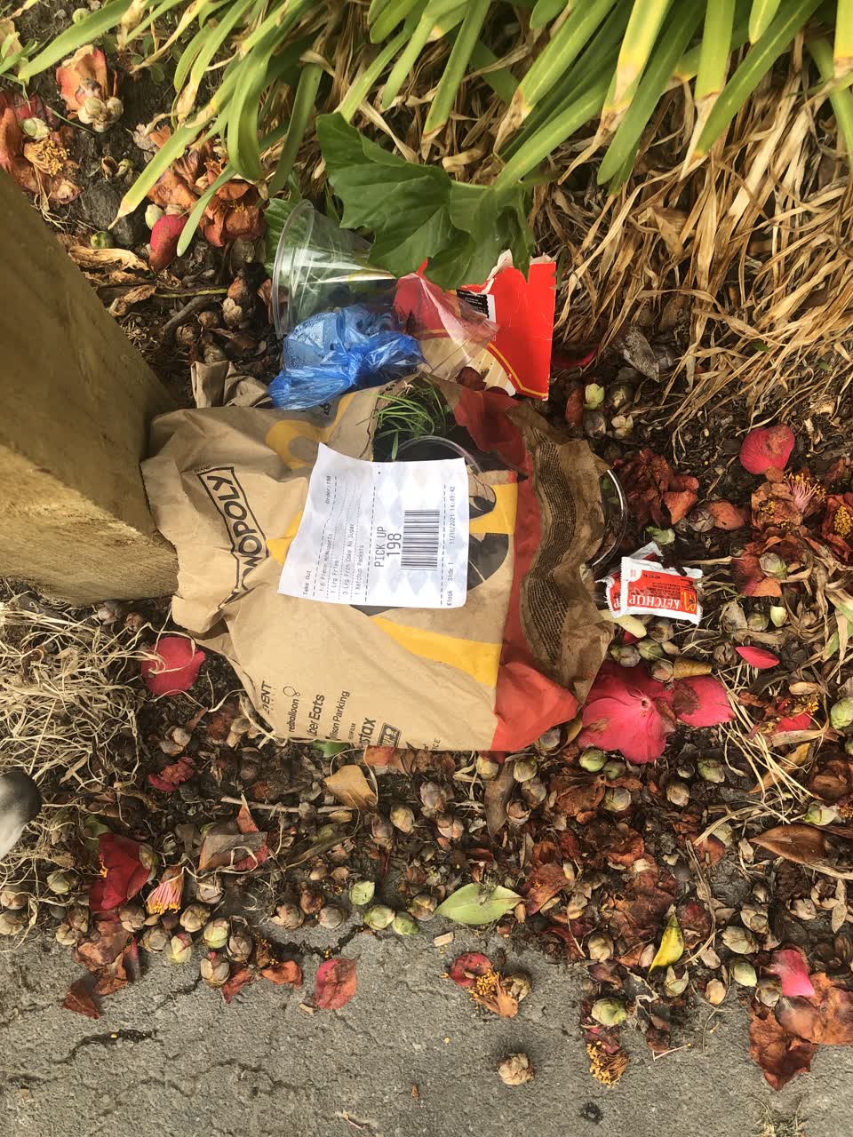 The photograph attached to this parks report