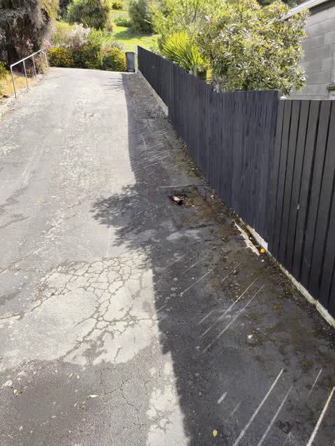 Rubbish/Recycling, a report photo
