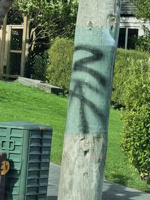 Graffiti — a report photo