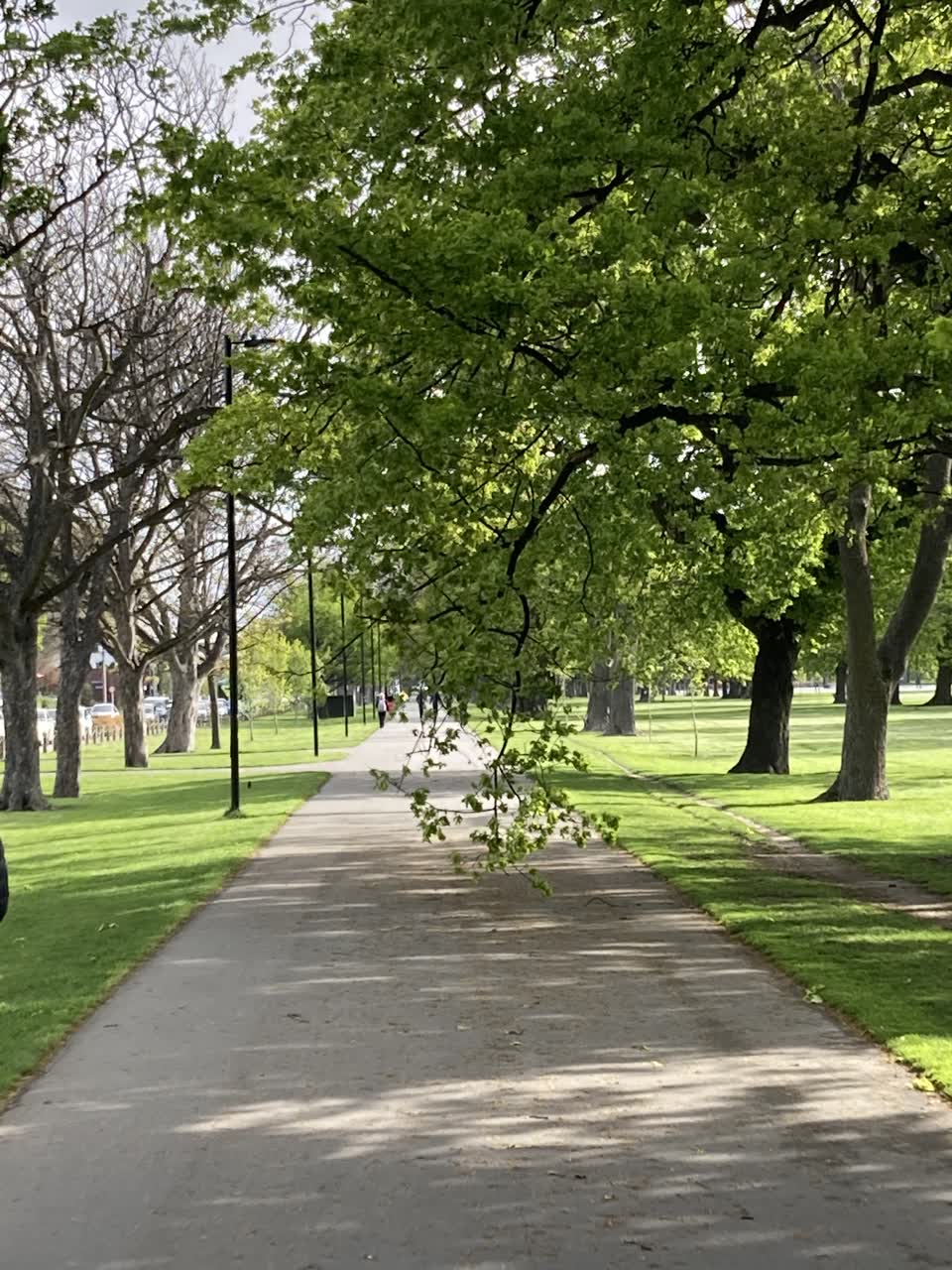 The photograph attached to this parks report