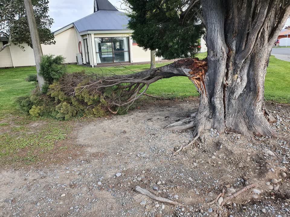 The photograph attached to this parks report