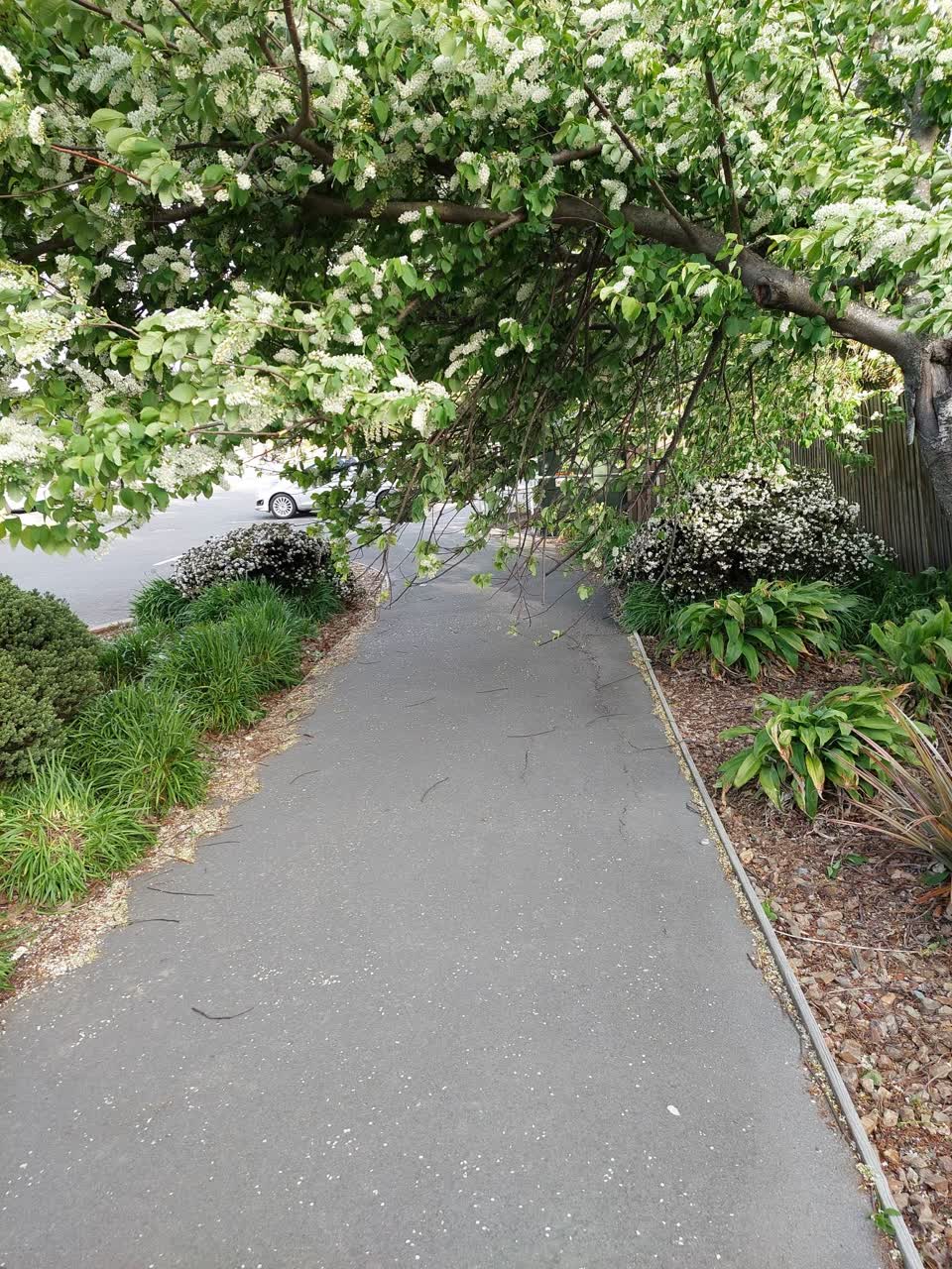 The photograph attached to this parks report