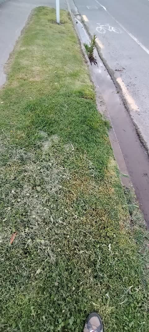 Water Leak, a report photo