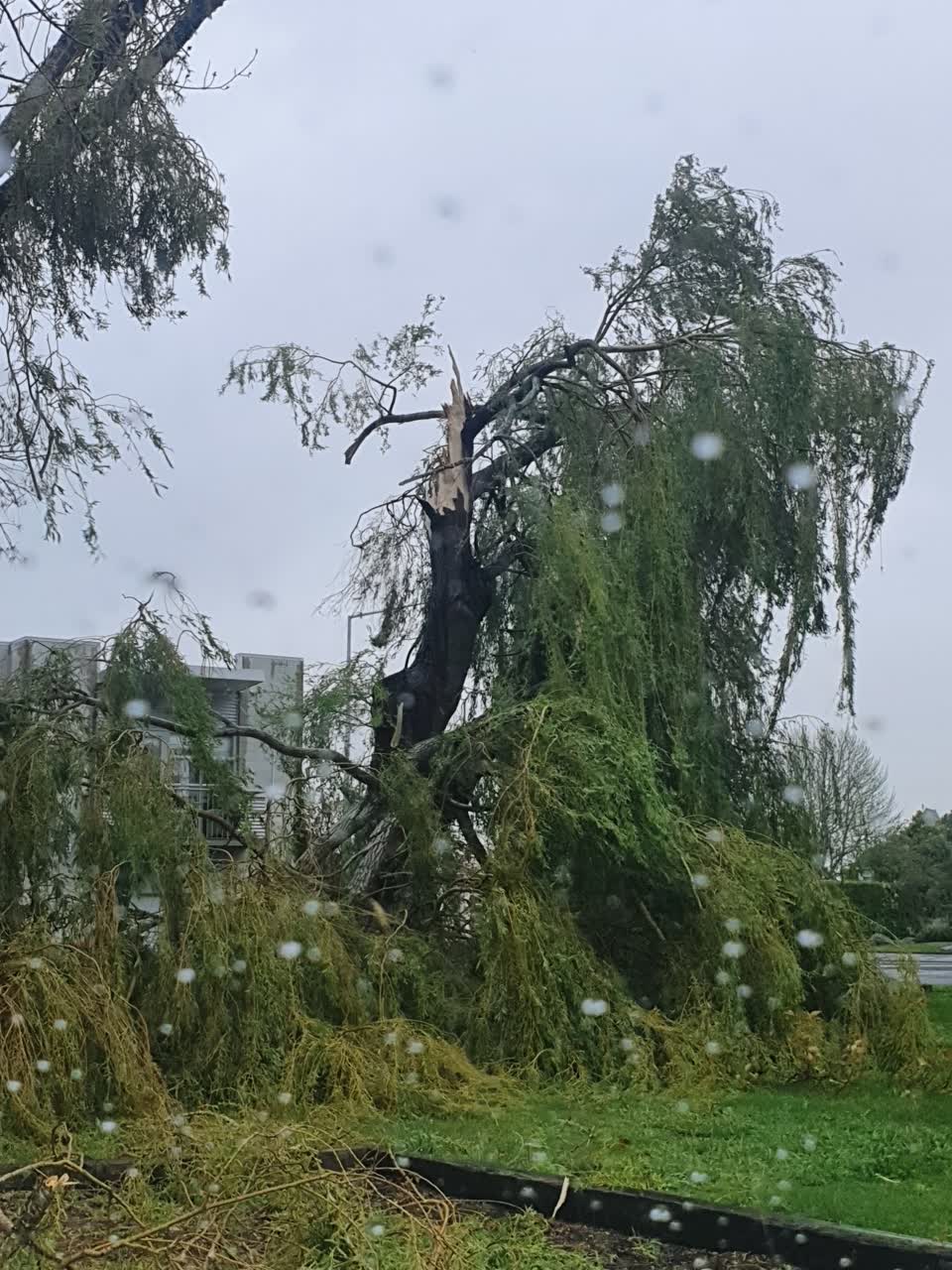 The photograph attached to this parks report